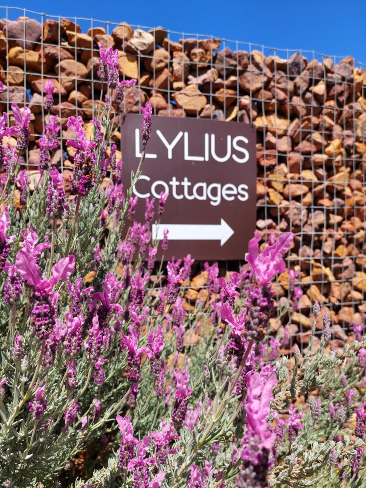 Lylius Cottage And Campsites كلانويليام المظهر الخارجي الصورة